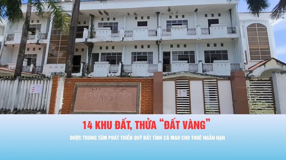 Podcast bản tin thời sự ngày 5-8: Cà Mau cho thuê ngắn hạn nhiều trụ sở, khu “đất vàng”