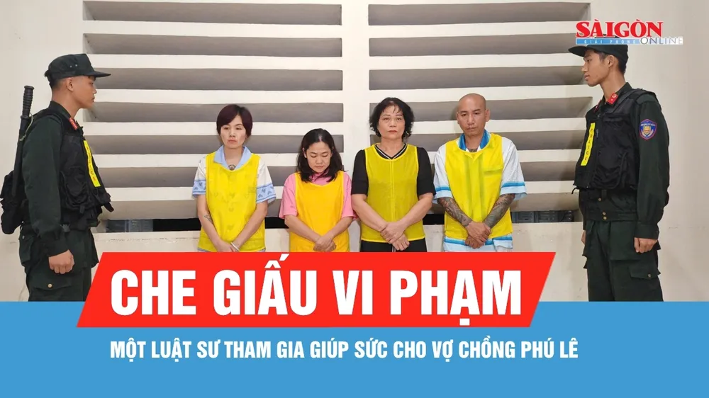 Khởi tố luật sư giúp sức cho vợ chồng Phú Lê che giấu vi phạm