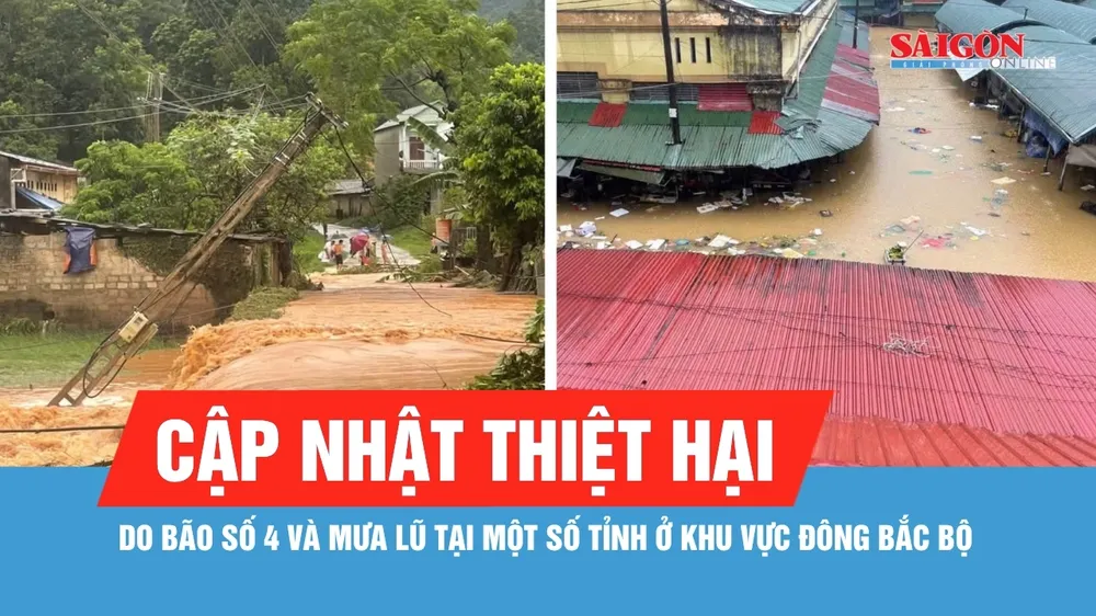 Mưa lũ do bão số 4 gây hư hỏng, ngập 300 căn nhà và hơn 1.000ha cây trồng