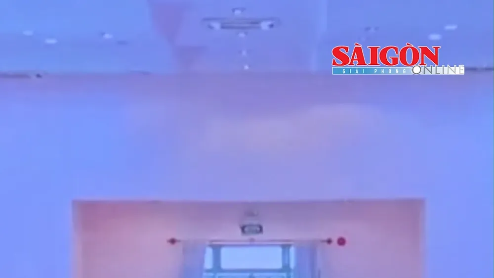 Vụ án VN10: Ca sĩ Chi Dân, người mẫu An Tây bị đề nghị 7-11 năm tù