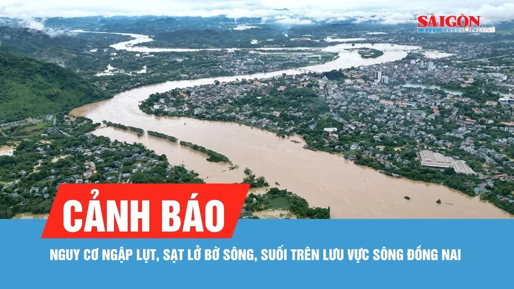 Chủ động phòng ngừa sạt lở, ngập úng ven sông Đồng Nai