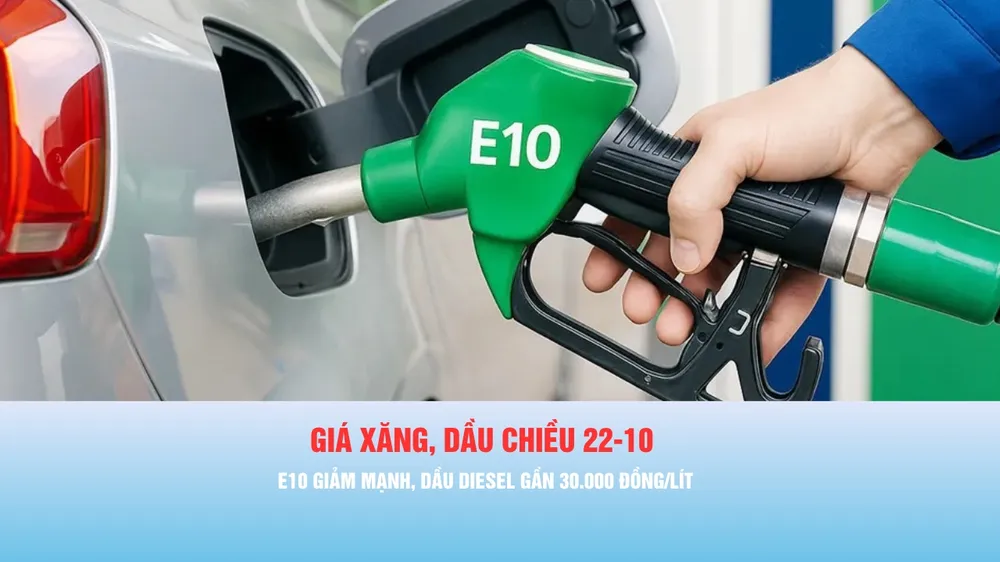 Podcast bản tin thời sự ngày 22-10: Giá dầu diesel tăng, lên gần 30.000 đồng/lít