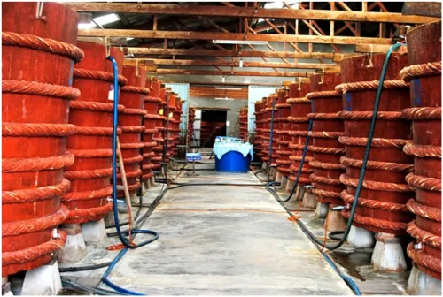 Dư luận phản ứng việc Vinastas chỉ bị phạt 15 triệu đồng