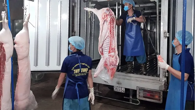 Các sản phẩm thịt heo tại MM Mega Market được vận chuyển bằng xe chuyên dụng, đảm bảo nhiệt độ trong khoảng 2-4 độ C