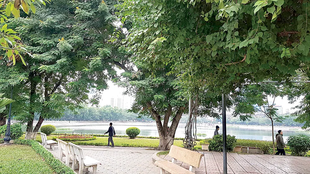 Hà Nội ngày đầu đông Ảnh: P. Giang