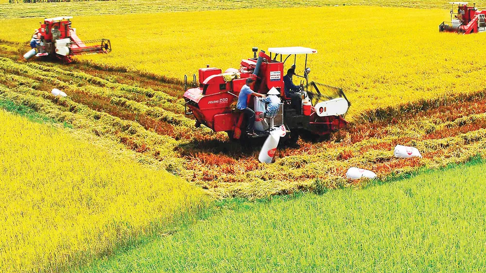 Đẩy mạnh cơ giới hóa nông nghiệp ĐBSCL Ảnh: DUY BẰNG
