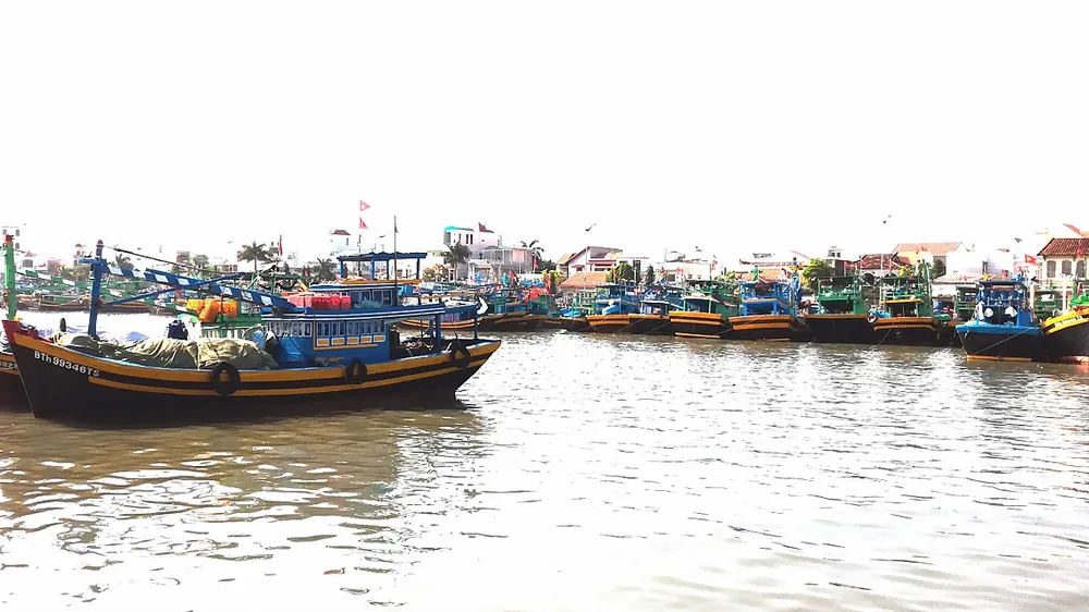 Nghề mành chụp 4 tăng gông ra đời góp phần giải quyết bài toán thiếu lao động, giúp ngư dân chuyển đổi nghề hiệu quả