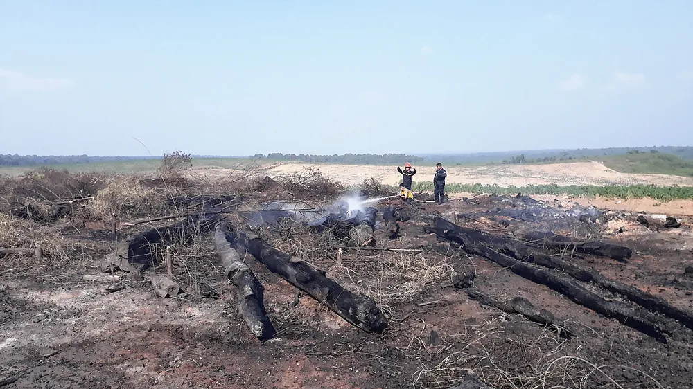 Những ngày đầu năm 2018, gỗ khai thác đã 2 lần bị cháy 