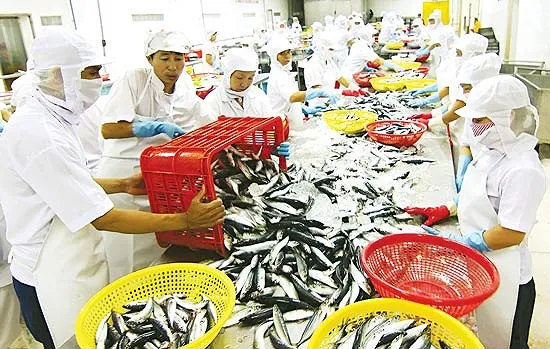 Sẵn sàng làm việc với EU để tháo gỡ “thẻ vàng”