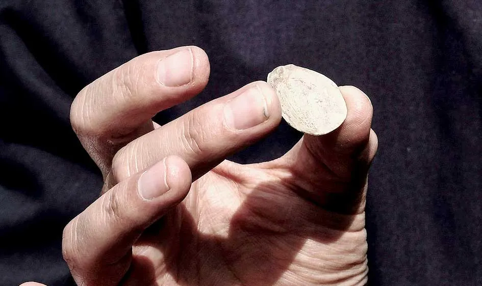 Israel phát hiện đồng tiền xu gần 2.000 năm tuổi