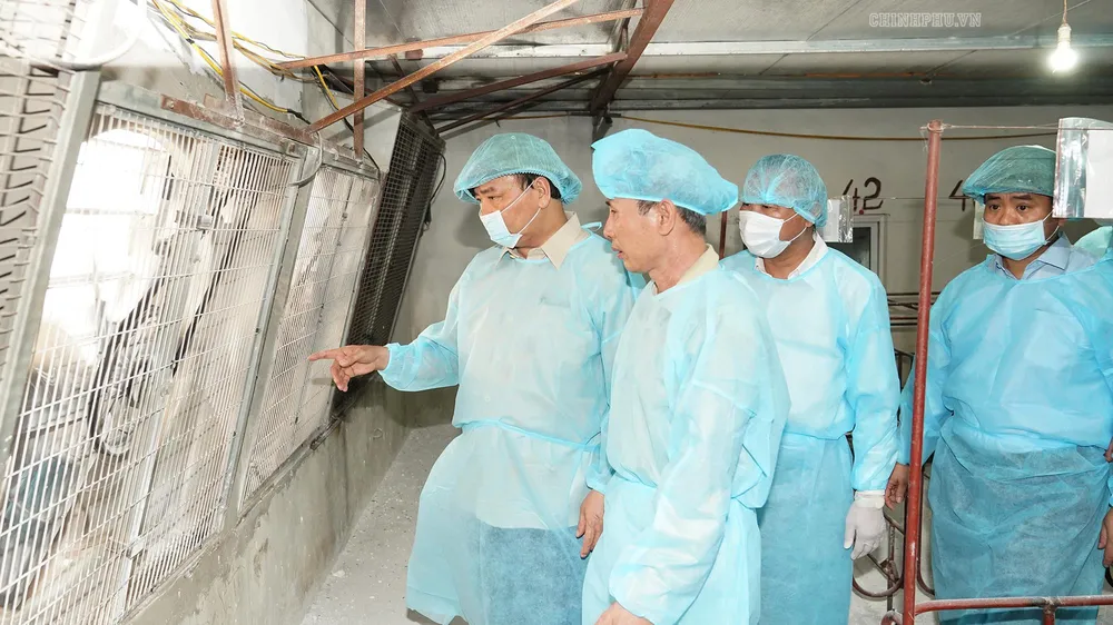 Thủ tướng kiểm tra công tác chống dịch tả heo châu Phi ở Đông Anh. Ảnh VGP