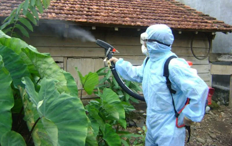 Đà Nẵng: Nguy cơ bùng phát dịch sốt xuất huyết