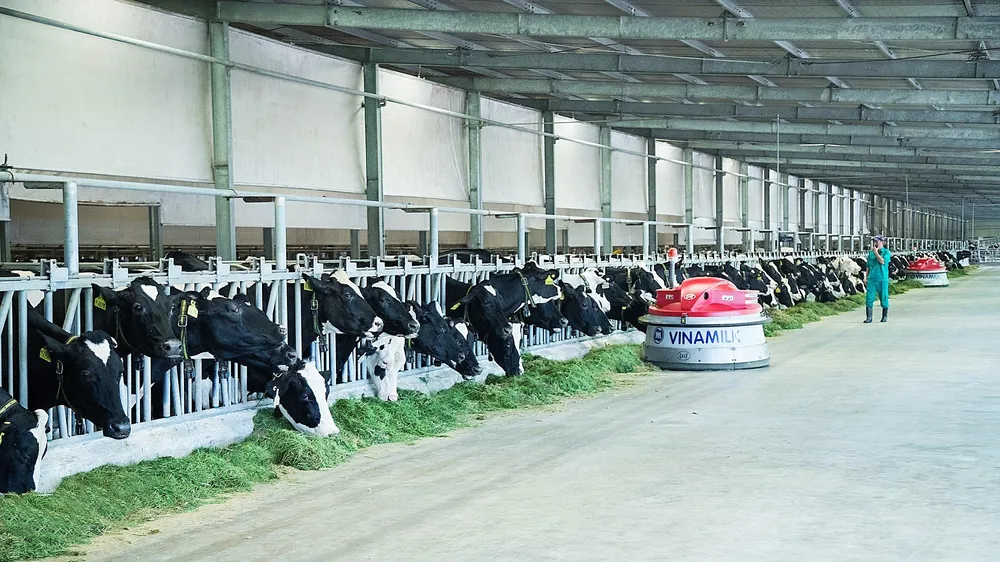 Vinamilk là thương hiệu có giá trị cao nhất Việt Nam năm 2019