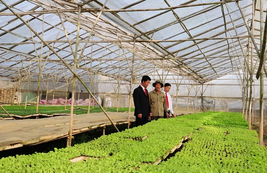 Agribank – Vì tương lai xanh