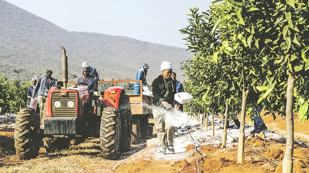 Một nông trại tại Limpopo, Nam Phi
