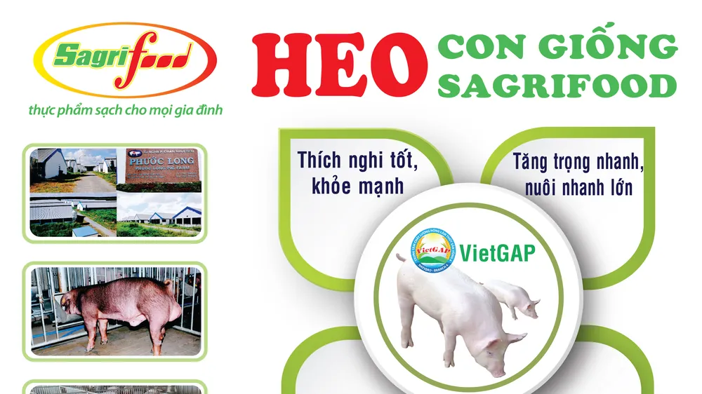 SAGRIFOOD – Nơi cung cấp heo con giống và giải pháp chăn nuôi an toàn