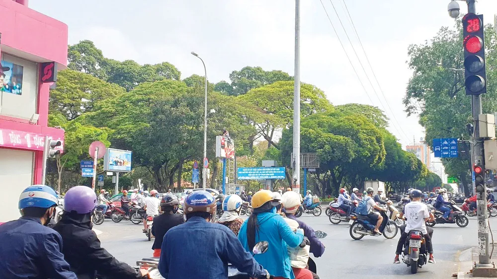 Bất chấp tín hiệu đèn đỏ, nhiều phương tiện vẫn lưu thông