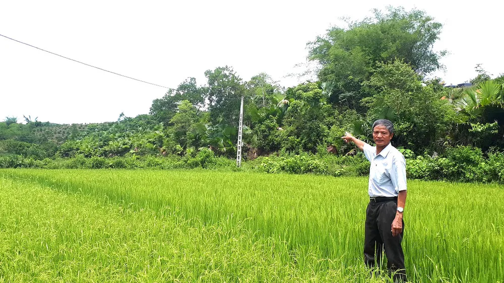 Ông Nguyễn Ngọc Liệu chỉ khu đất vườn rừng của gia đình mà ông đã hiến cho xã làm công trình phúc lợi 