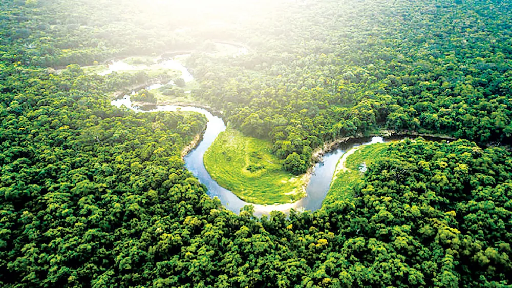 Rừng Amazon