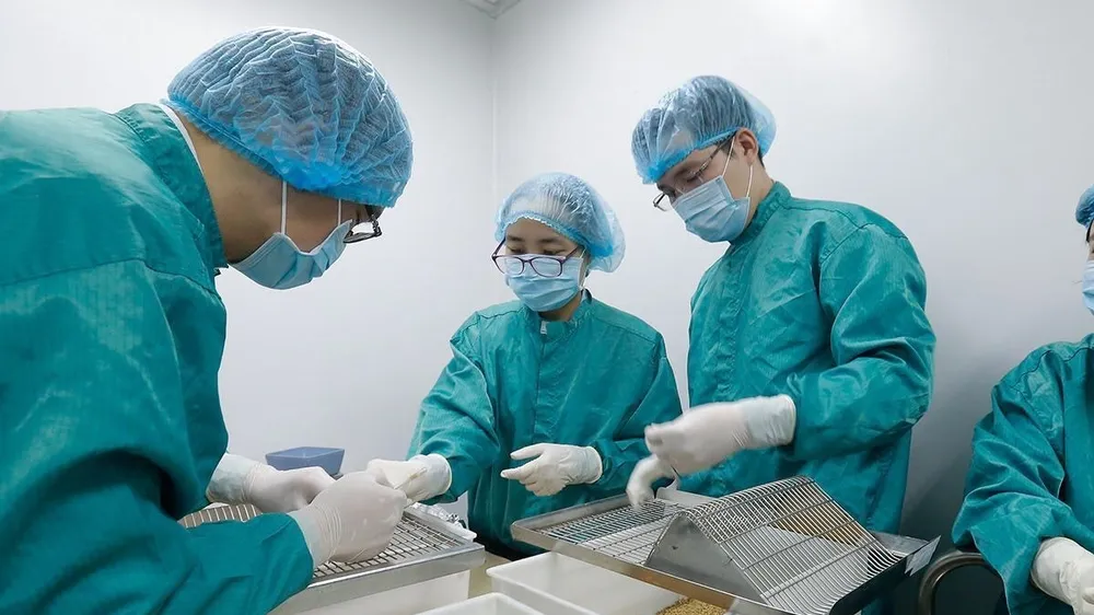  Các nhà nghiên cứu của Vabiotech đang tiến hành lấy mẫu máu chuột để đánh giá kháng thể đáp ứng miễn dịch sau tiêm