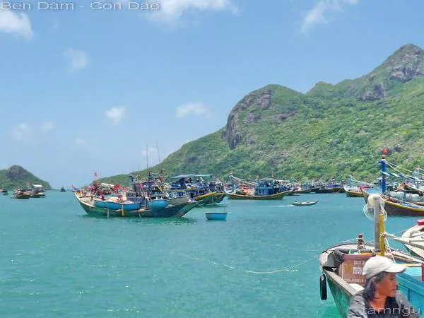Xây dựng khu tái định cư Côn Đảo ở vị trí không có rừng