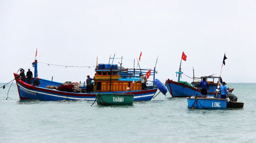 Vươn khơi sau bão