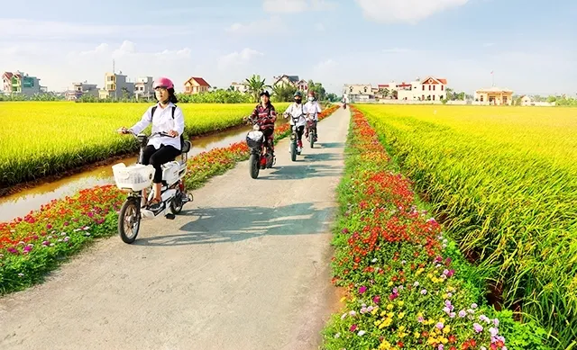 Phấn đấu trên 70% xã đạt chuẩn nông thôn mới