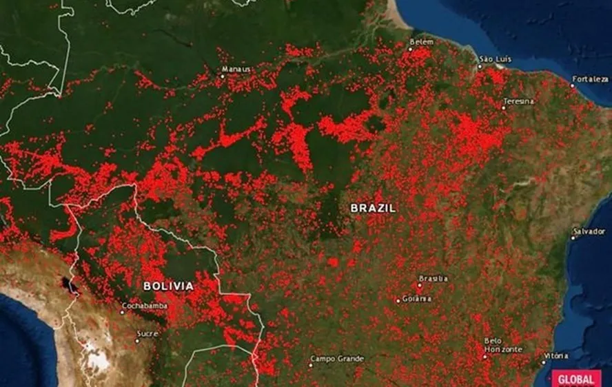Năm 2020, Brazil có số vụ cháy rừng kỷ lục