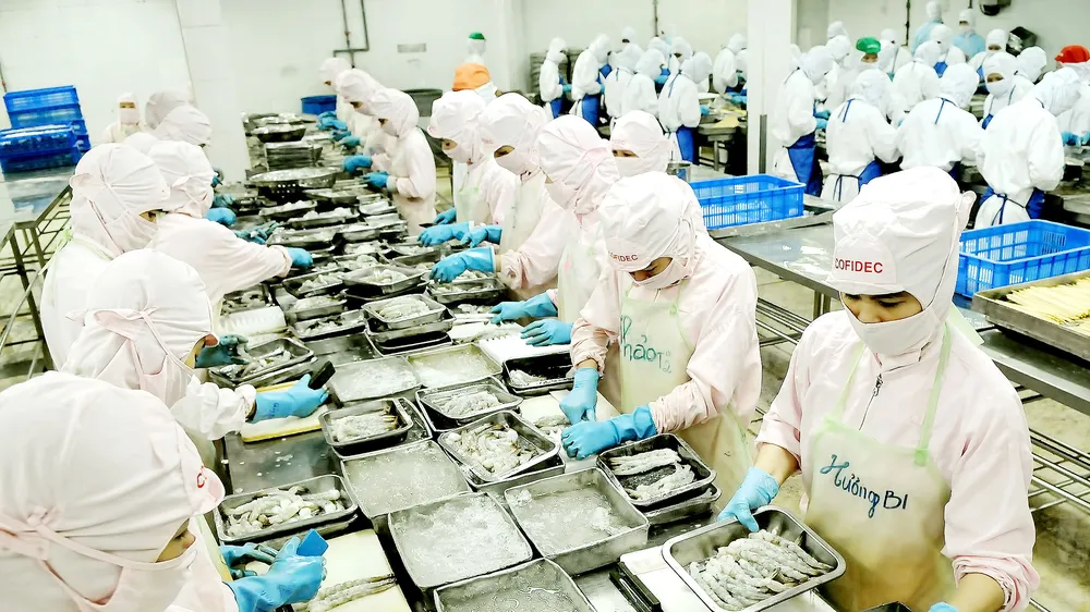 Chế biến thực phẩm xuất khẩu tại Công ty Cofidec, quận 12, TPHCM. Ảnh: CAO THĂNG