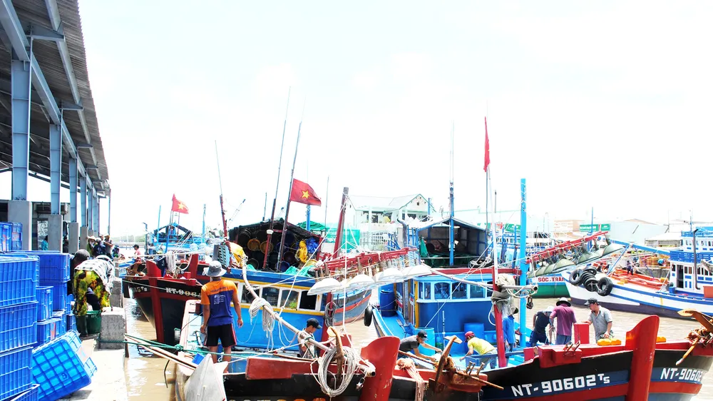 Việc xếp dỡ hàng ở các cảng chủ yếu thủ công, chưa được cơ giới hóa