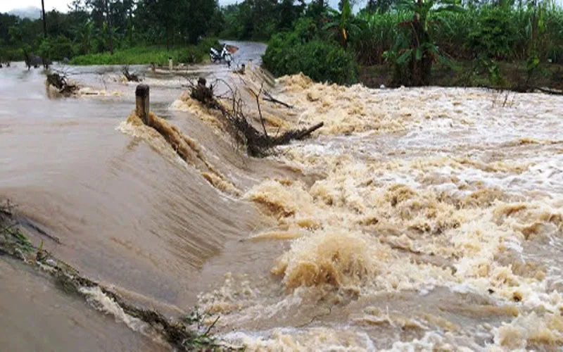 Mưa lũ lớn ở nhiều địa phương 