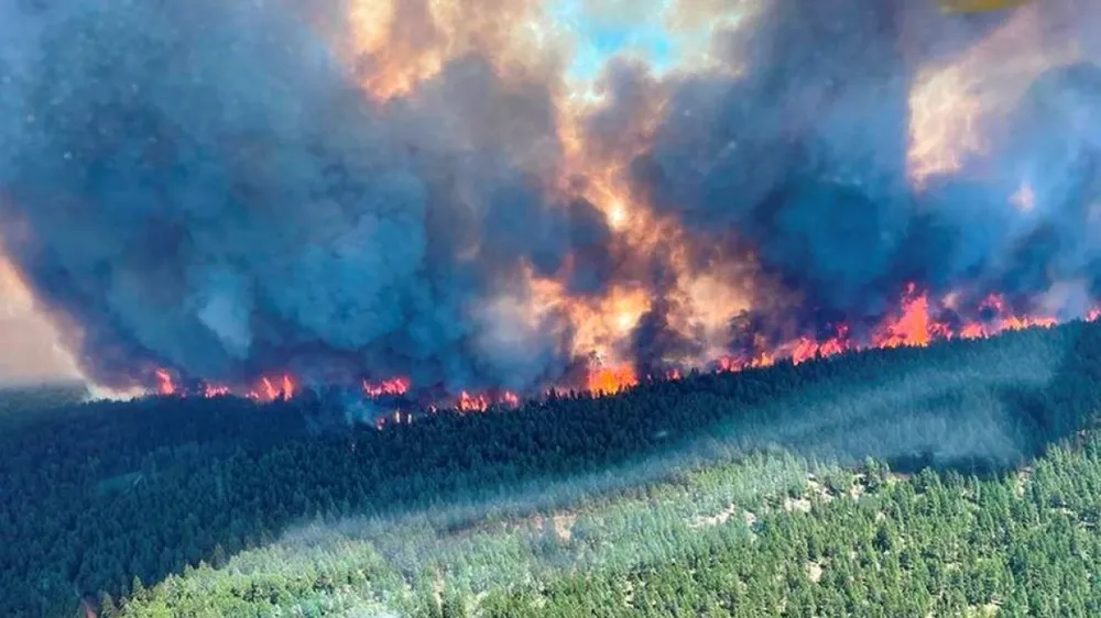 Cháy rừng ở British Columbia, Colombia ngày 29-6-2021. Ảnh: REUTERS