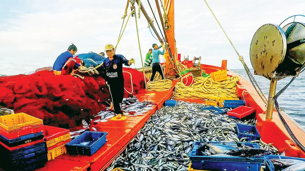 Nhiều sáng kiến trong đánh bắt trên biển giúp ngư dân Hoài Nhơn, tỉnh Bình Định khá giả hơn. Ảnh: ĐẶNG VĂN HẢI