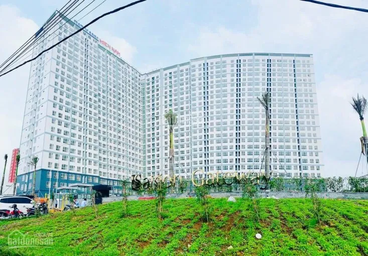 Quản lý nhà chung cư: Vẫn nóng việc cấp giấy chủ quyền 