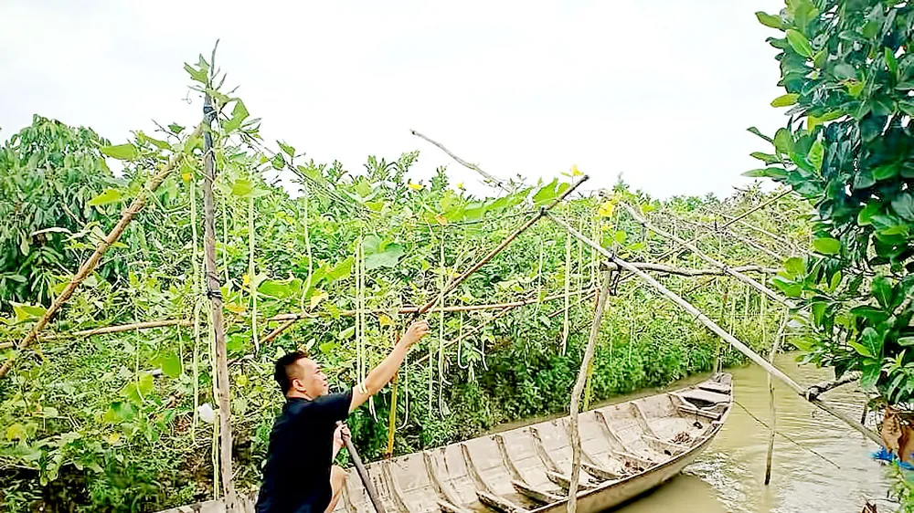 Fanpage “Tường của Má” chia sẻ ẩm thực miệt vườn chưa kiếm được tiền từ quảng cáo