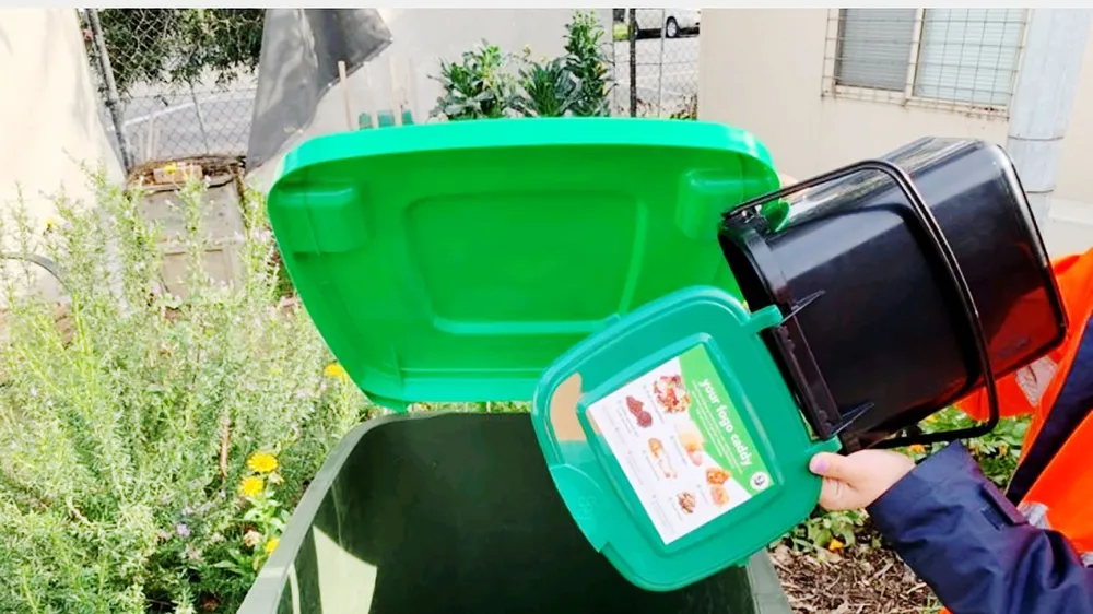 Rác được phân loại để tái chế