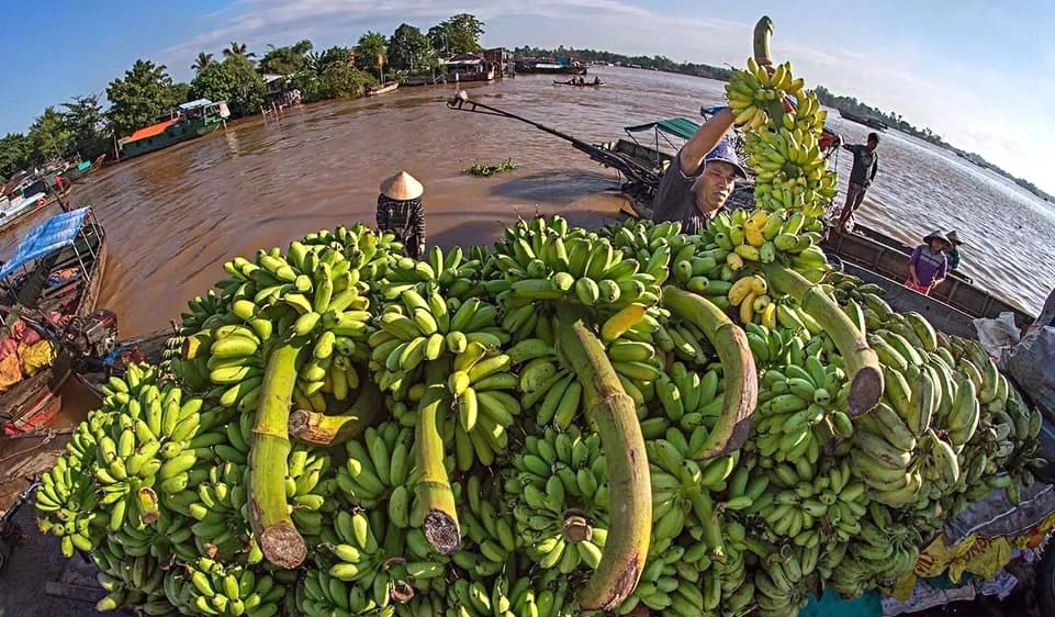 Ghe thương hồ xuôi ngược theo sông nước miền Tây Nam bộ. Ảnh: BÙI QUỐC SỸ