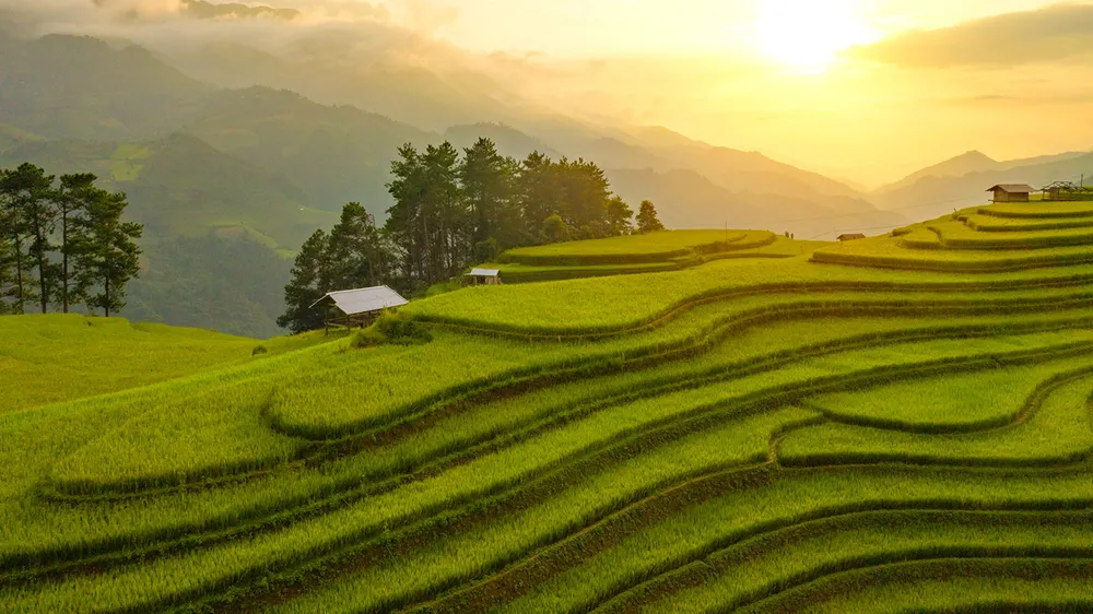 Mù Cang Chải
