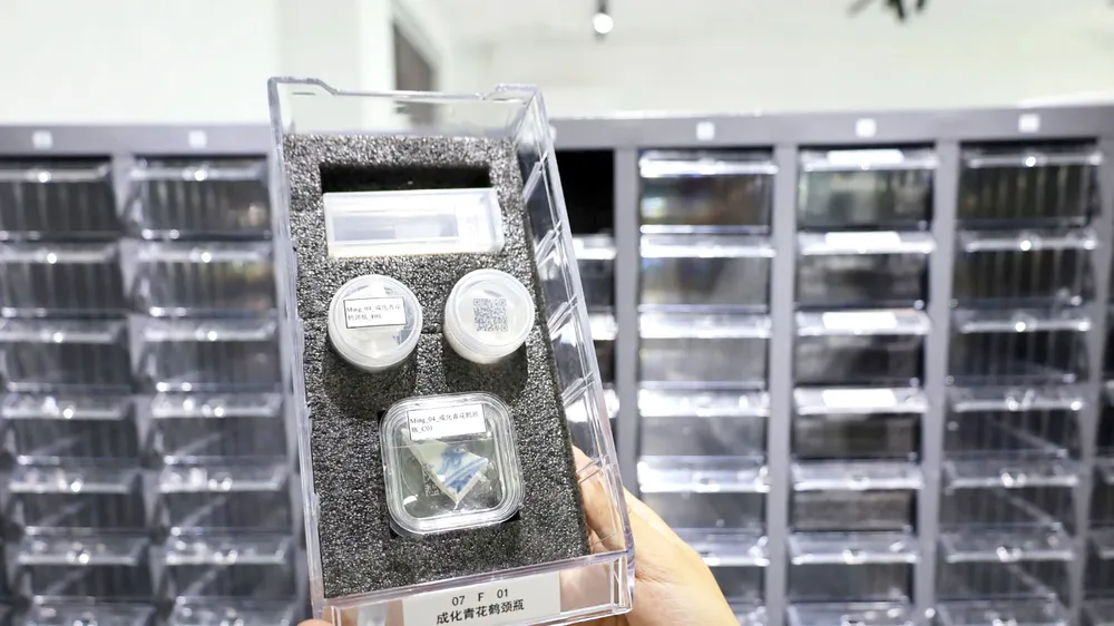 Một mẫu gốm sứ cổ của ngân hàng gene gốm Trung Quốc