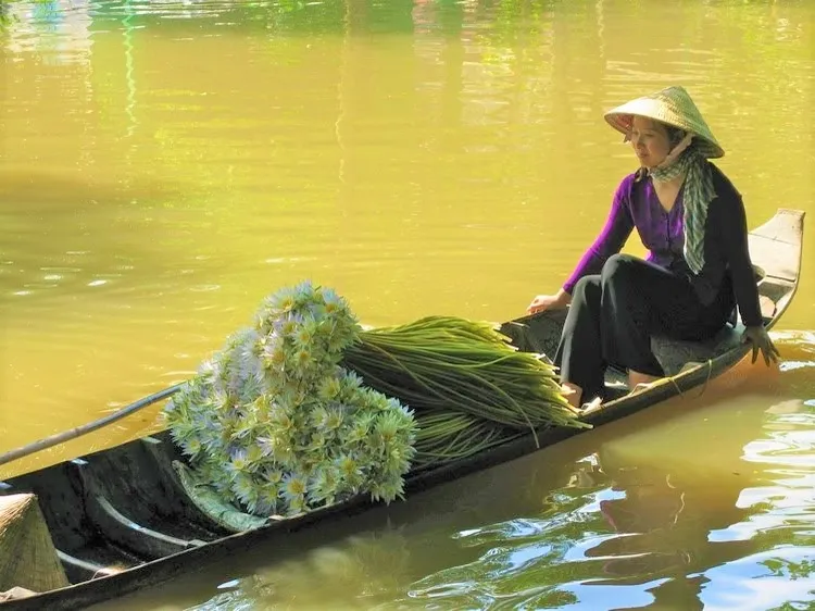Giọng Nam bộ thiệt thà, chân chất như miệt vườn mộc mạc, thân thương