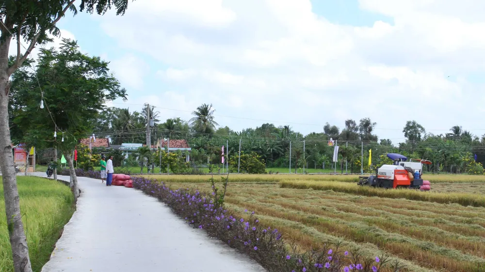 Đường quê đã được thảm bê tông ở xã Tân Ân, huyện Cần Đước, Long An