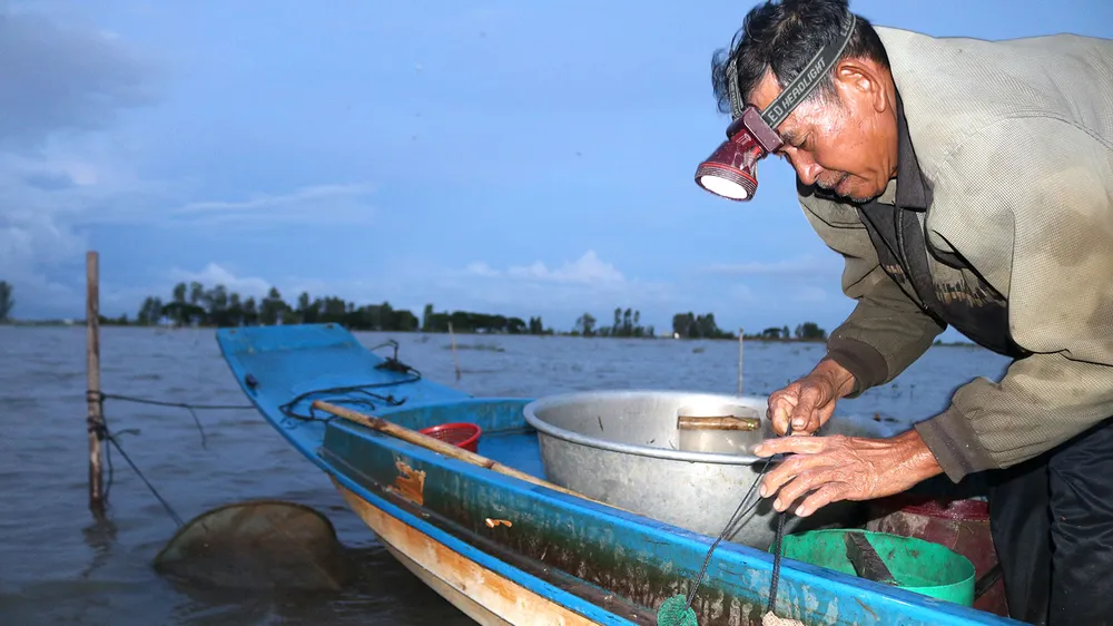 Nhiều nông dân vùng biên giới huyện An Phú, tỉnh An Giang thu nhập 1 triệu đồng/ngày nhờ đánh bắt cá linh