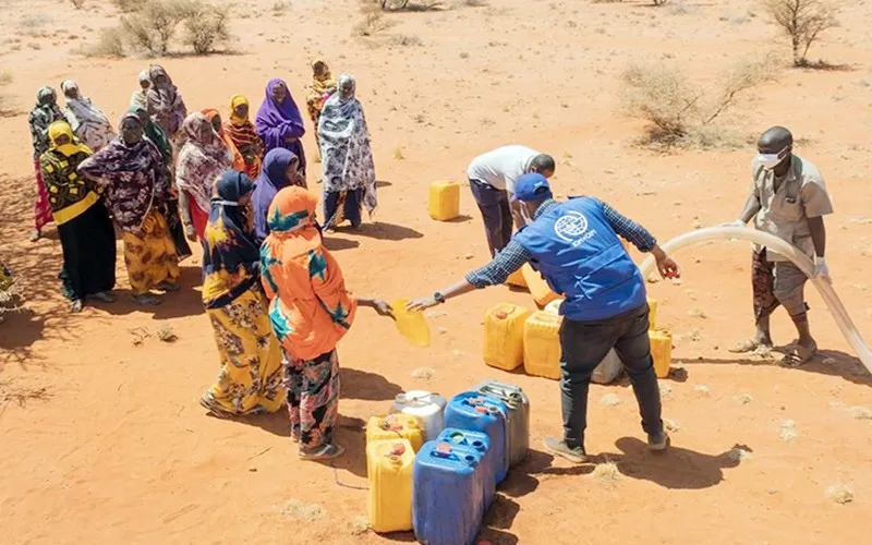 WFP cần 1,27 tỷ USD để chống hạn ở vùng Sừng châu Phi