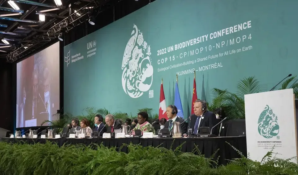 Đại diện các quốc gia tại Hội nghị Đa dạng sinh học Liên Hợp Quốc (COP 15) đã đạt được một thỏa thuận lịch sử về bảo vệ đa dạng sinh học trên trái đất. Ảnh: AP. 