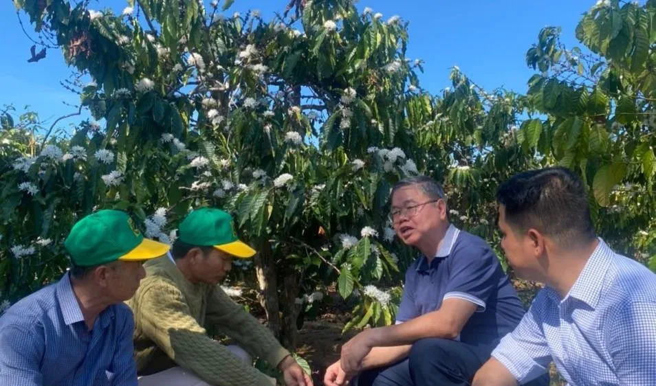 Công ty CP Phân bón Bình Điền khởi động chương trình Canh tác cà phê thông minh tại Tây Nguyên
