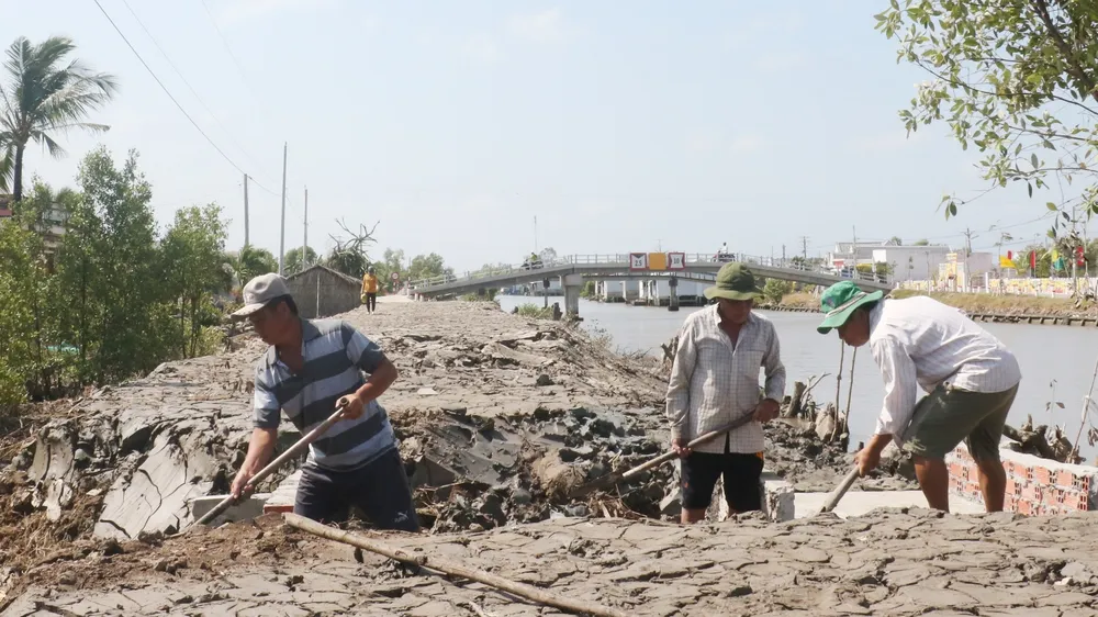  Người dân trên địa bàn xã Tân Duyệt (huyện Đầm Dơi, tỉnh Cà Mau) hiến đất, chuẩn bị mặt bằng để làm đường bê tông