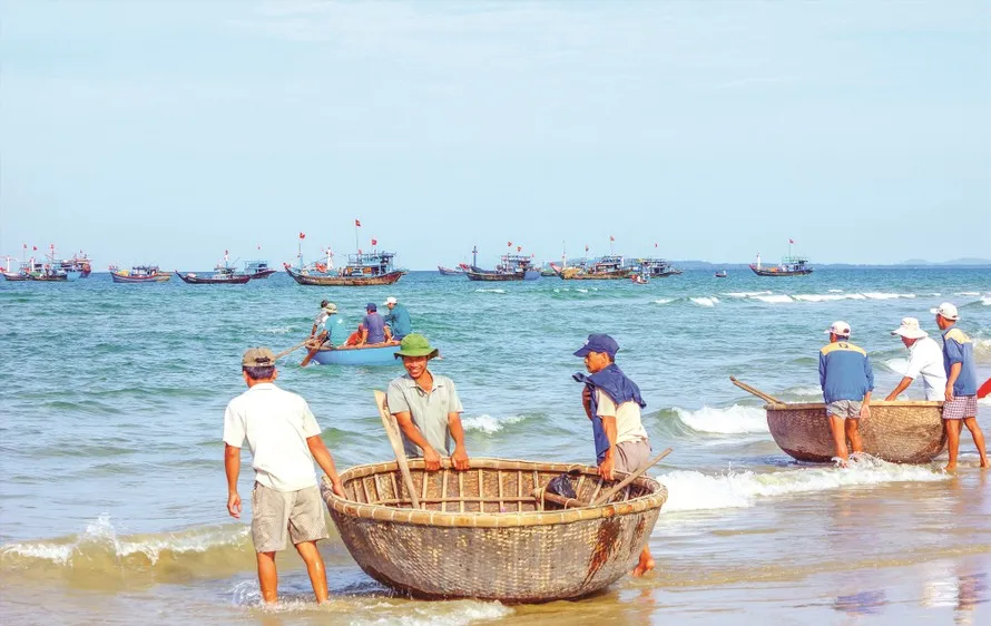 Bình Thuận nhân rộng mô hình quản lý bảo vệ nguồn lợi thủy sản ven bờ
