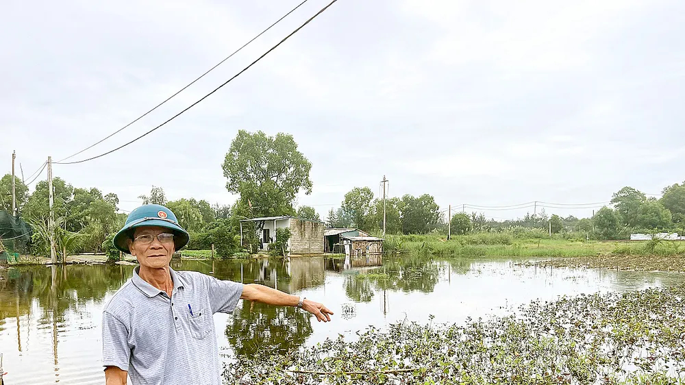 Quảng Bình: Nhiều diện tích rau, hoa bị ngập úng