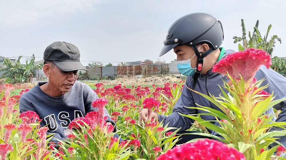 Người dân làng hoa Tân Ba giới thiệu các loại hoa cho khách hàng. Ảnh: HOÀNG BẮC