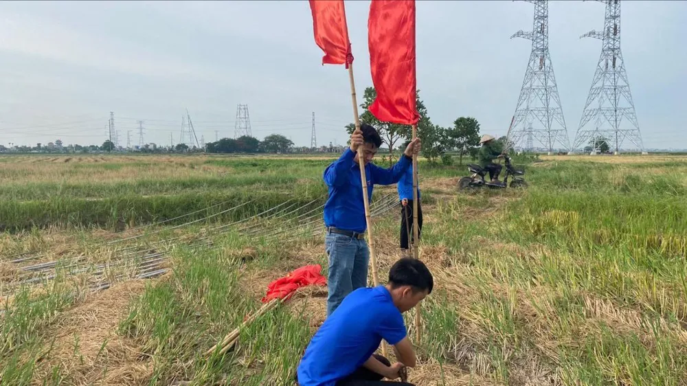 Thanh niên tình nguyện tham gia hỗ trợ dự án đường dây 500kV mạch 3